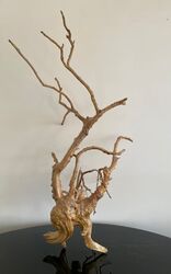 <b>Animal non identifié</b>