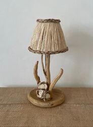 <b>Fleurs des bois</b>